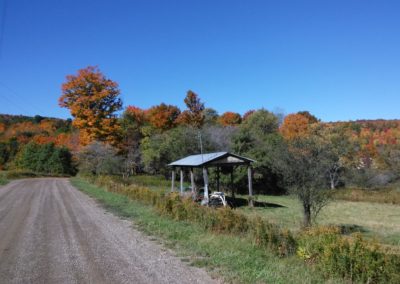 dirt road Dailey 400x284 - Town Gallery